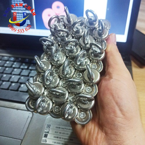 Nam châm cứu hộ D20