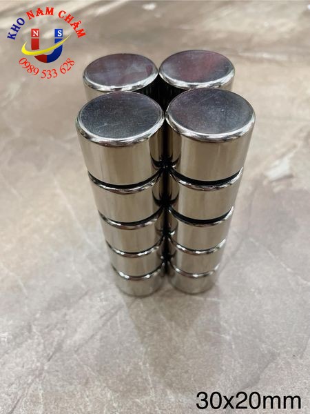 Nam châm viên 30x20mm