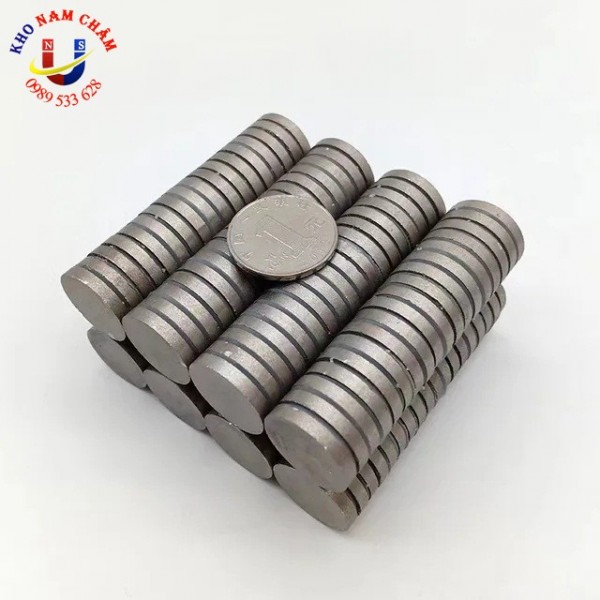 Nam châm chịu nhiệt độ D20x2mm