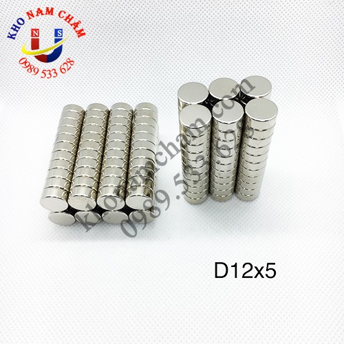 Nam châm viên D12x5 mm