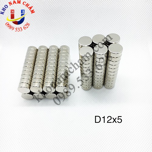 Nam châm viên D12x5 mm