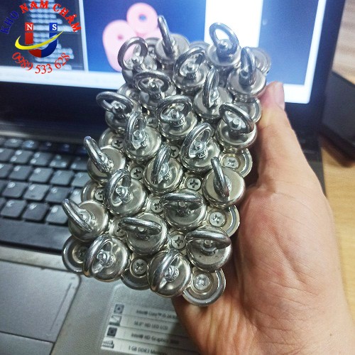 Nam châm cứu hộ D20